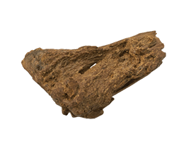 コレクション整理で出てきた香木