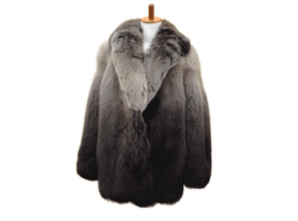 フォックスを含む毛皮数点で