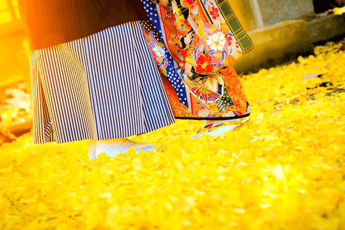 本場黄八丈を守り続けた山下百八子の着物の買取相場は?高く買取してもらうコツも紹介