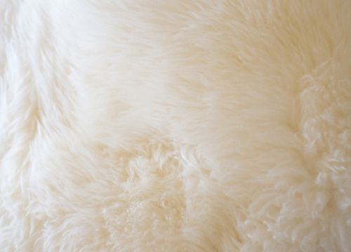 ムートンの毛皮を買い取ってもらうためのコツを紹介